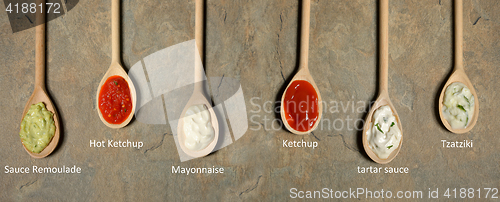 Image of different types of sauces in spoons 