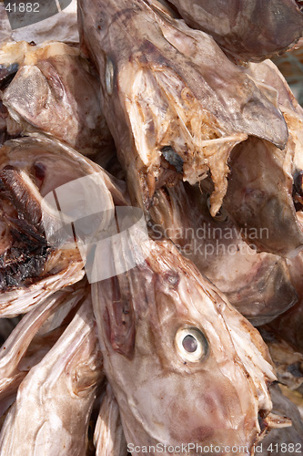 Image of Codfish heads drying in the sun, Lofoten Islands, Norway