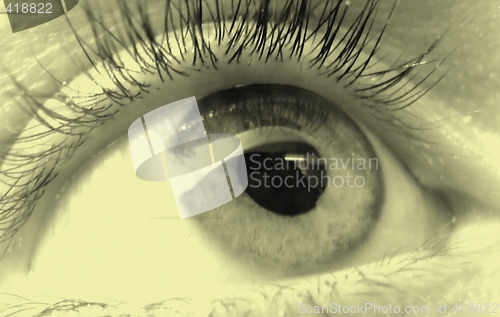 Image of eye macro