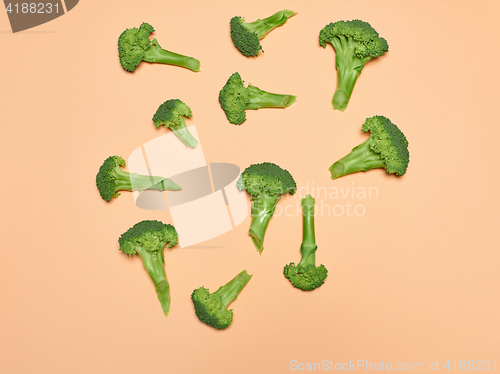 Image of The fresh broccoli on pink background