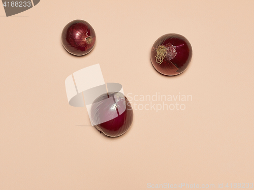 Image of Red onion on a pink background