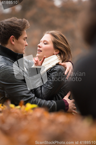 Image of Autumn portrait of attractive happy couple