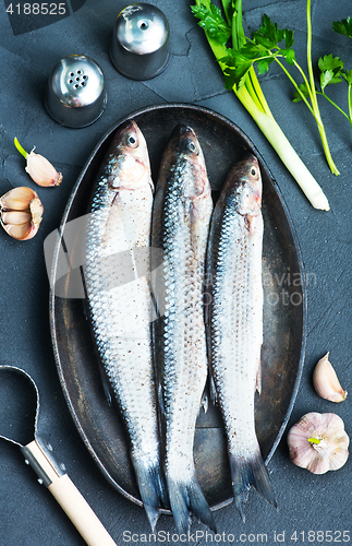 Image of raw fish