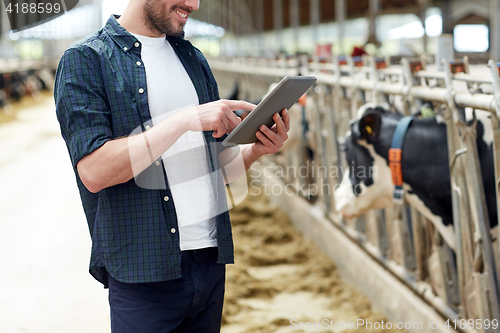 Image of young man with tablet pc and cows on dairy farm