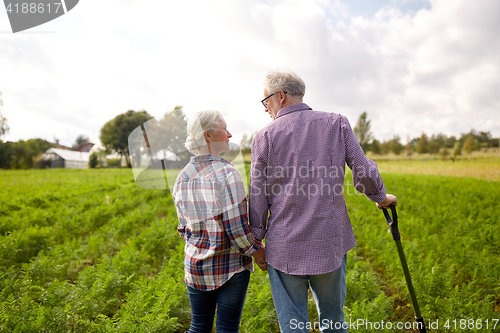 Image of happy senior couple at summer farm