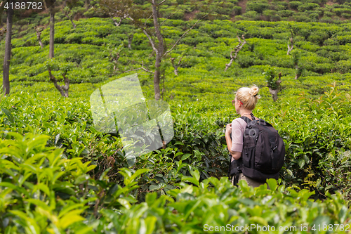 Image of Female tourist enjoying beautiful nature of tea plantations, Sri Lanka.