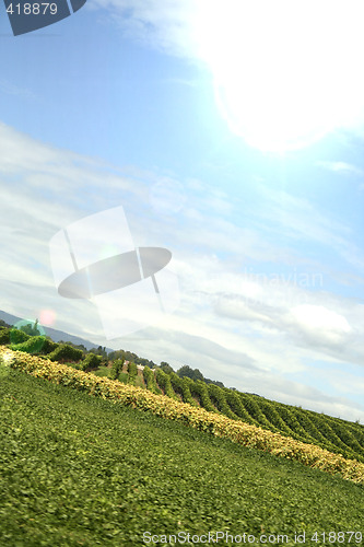 Image of Country landscape