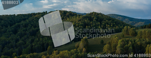 Image of Herd of sheep in the forest and mountains