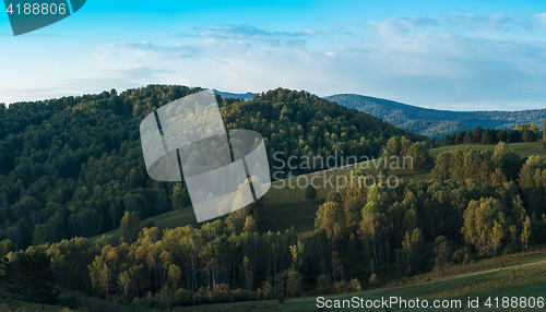 Image of Herd of sheep in the forest and mountains