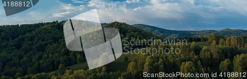 Image of Herd of sheep in the forest and mountains