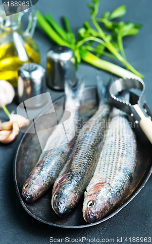 Image of raw fish