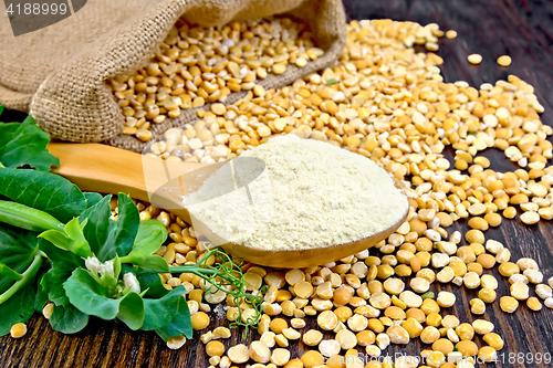 Image of Flour pea in spoon on board