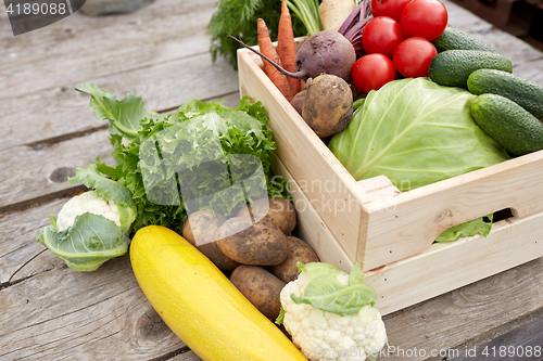 Image of close up of vegetables on farm