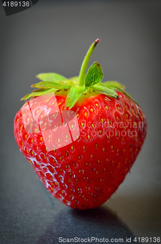 Image of Strawberry fruit isolated 