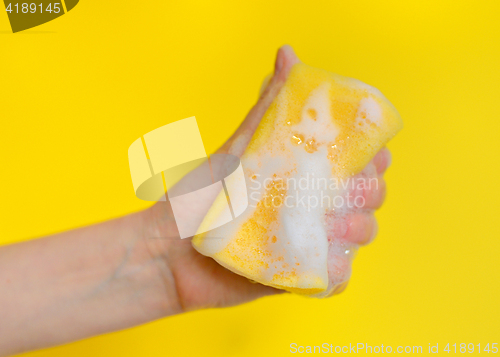 Image of Hand with sponge with foam 