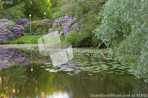 Image of Late spring at the pond of the university campus, G&#246;teborg, Sweden