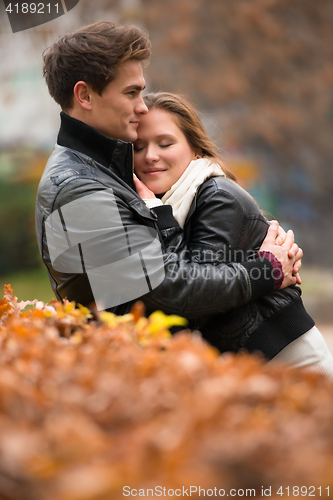 Image of Autumn portrait of attractive happy couple