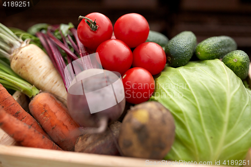 Image of close up of vegetables on farm