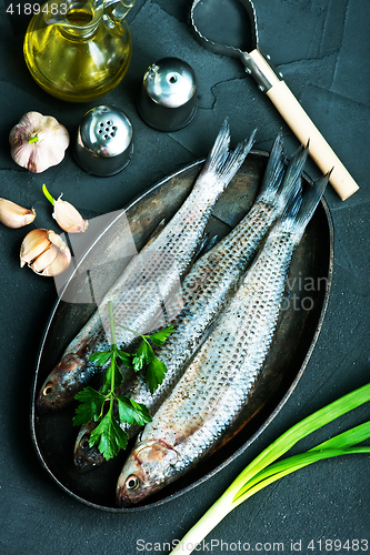 Image of raw fish