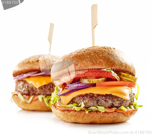 Image of two fresh tasty burgers