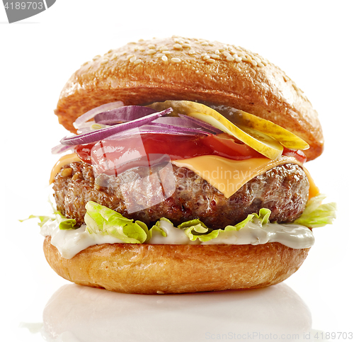 Image of fresh tasty burger