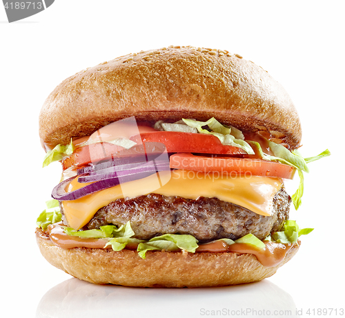 Image of fresh tasty burger