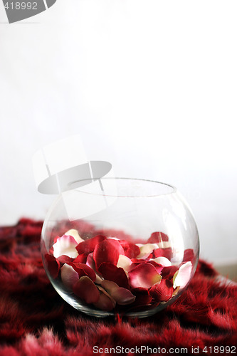 Image of Rose petals