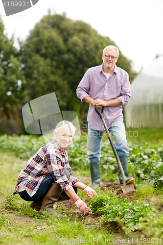 Image of senior couple working in garden or at summer farm