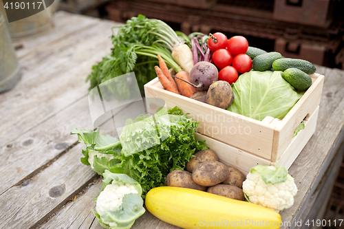 Image of close up of vegetables on farm