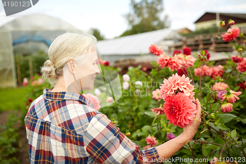 Image of senior woman with flowers at summer garden