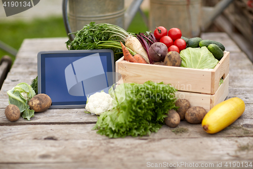 Image of close up of vegetables with tablet pc on farm