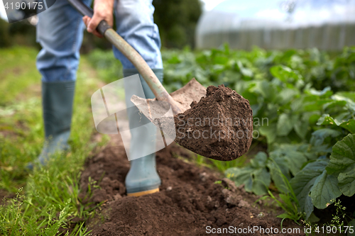 Image of man with shovel digging garden bed or farm