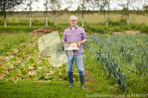 Image of old man with box of vegetables at farm garden