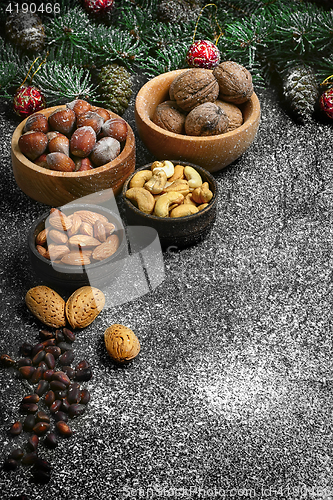 Image of Forest nuts nuts for Christmas