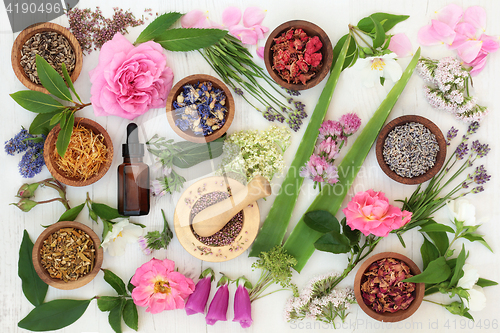 Image of Healing Flowers and Herbs