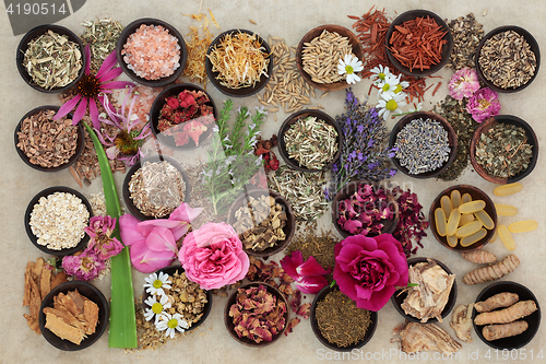 Image of Herbs and Flowers for Skin Disorders