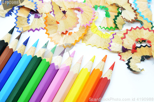 Image of Sharpened color pencil and wood shavings