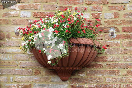 Image of Flowers in clay pot