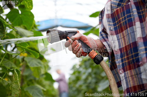 Image of farmer with garden hose watering at greenhouse