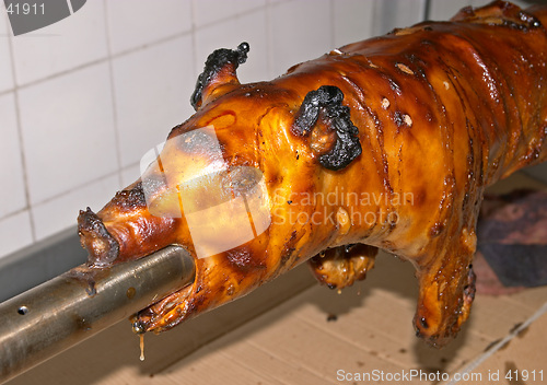 Image of Roasted pork, traditional Portuguese recipe, Lisbon, Portugal