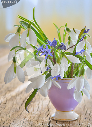 Image of Beautiful bouquet of snowdrops in vase