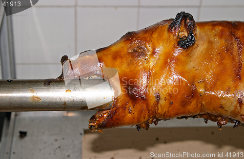 Image of Roasted pork, traditional Portuguese recipe, Lisbon, Portugal