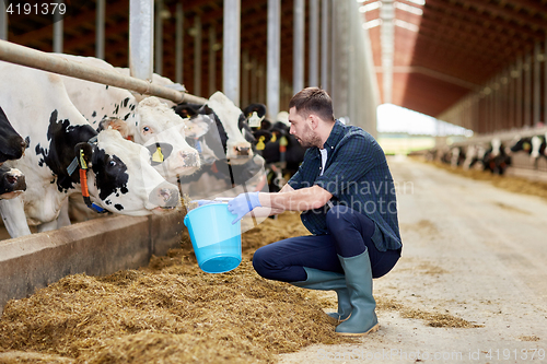 Image of man with cows and bucket in cowshed on dairy farm