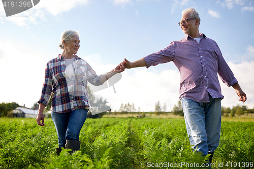 Image of happy senior couple holding hands at summer farm