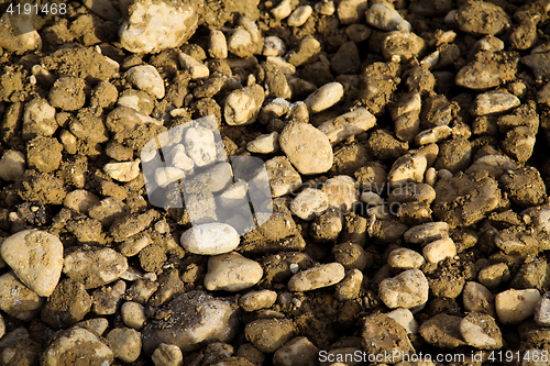 Image of Pebbles on ground