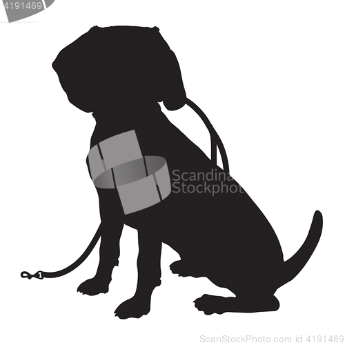 Image of Beagle Silhouette Leash