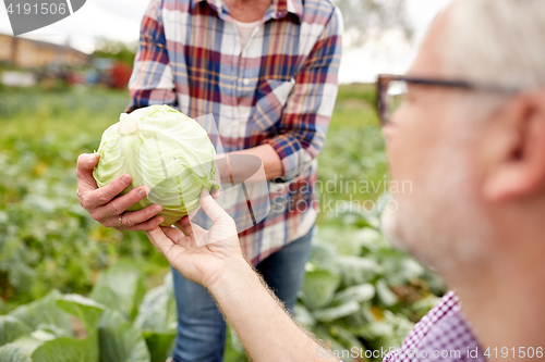 Image of senior couple picking cabbage on farm