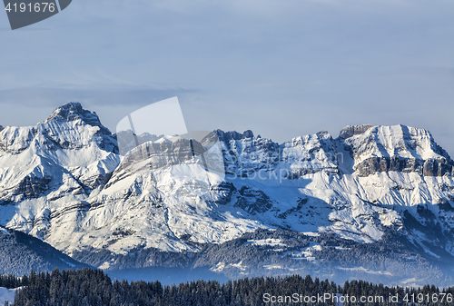 Image of Winter Landscape