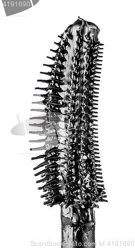 Image of Closeup mascara brush black color