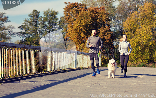 Image of happy couple with dog running outdoors